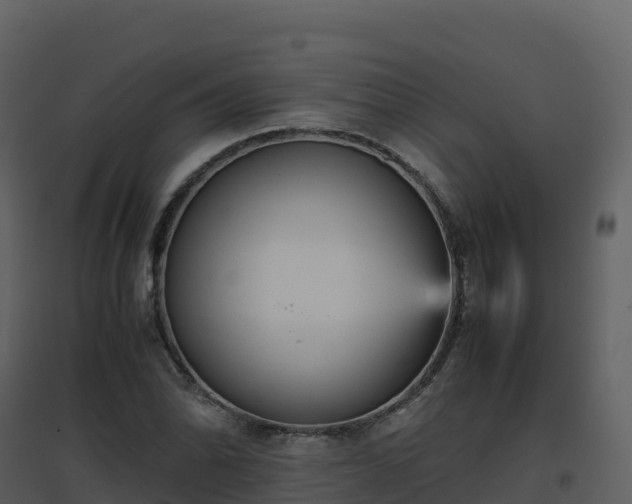 X0000096651070200802121127