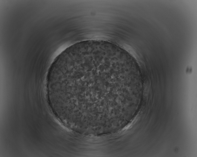 X0000096651071200802121127