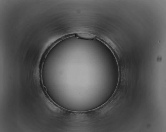 X0000096651072200802121127