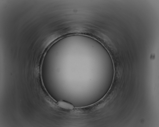 X0000096651073200802121127