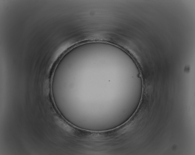 X0000096651075200802121127