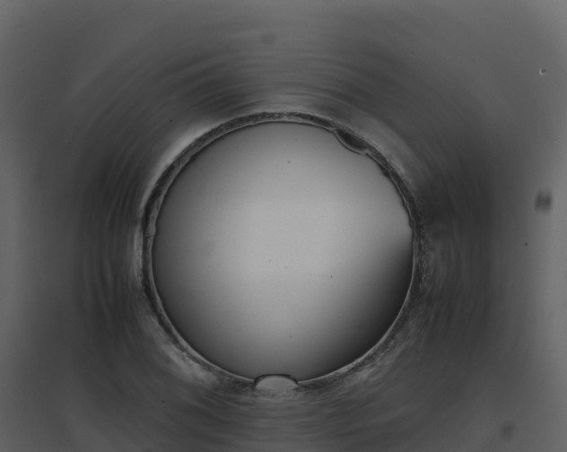 X0000096651076200802121127