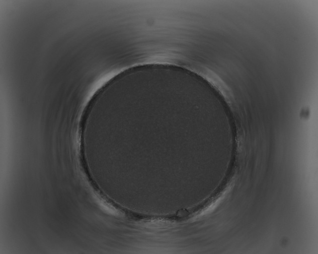 X0000096651077200802121127
