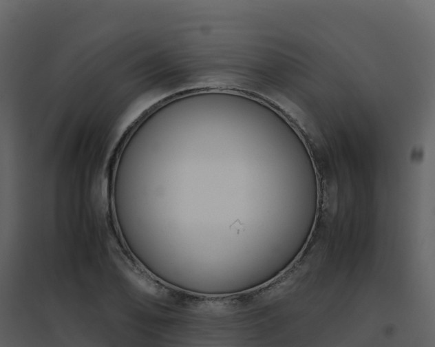 X0000096651078200802121127
