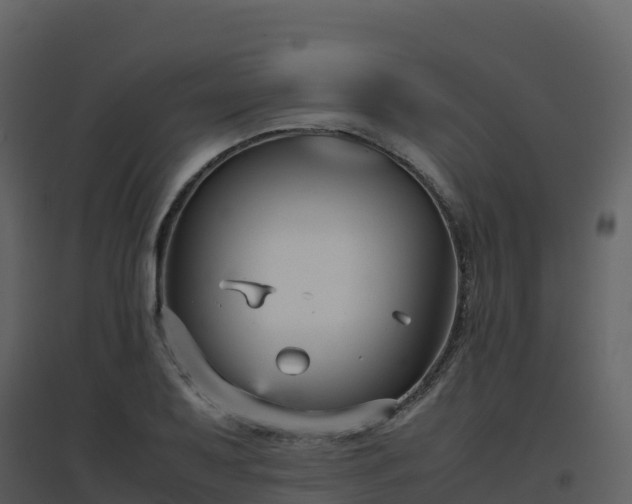 X0000096651079200802121127
