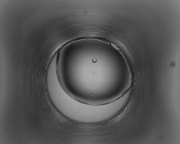X0000096651081200802121127