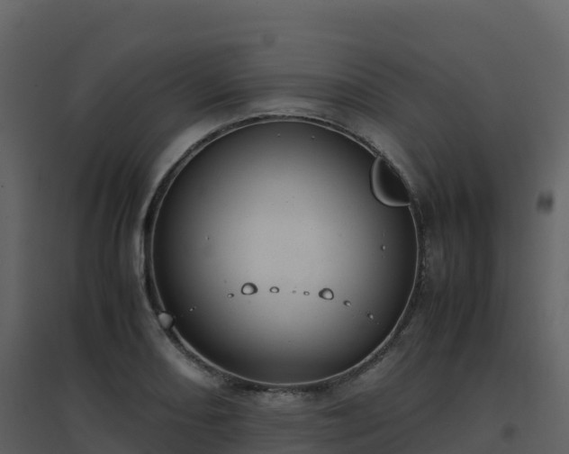 X0000096651082200802121127