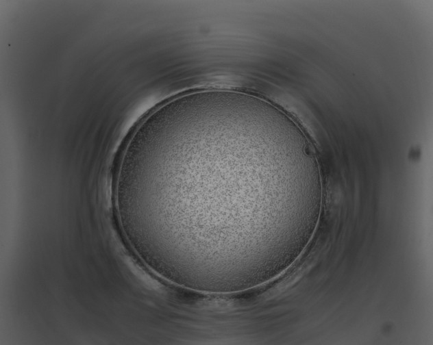 X0000096651083200802121127