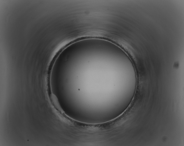 X0000096651085200802121127