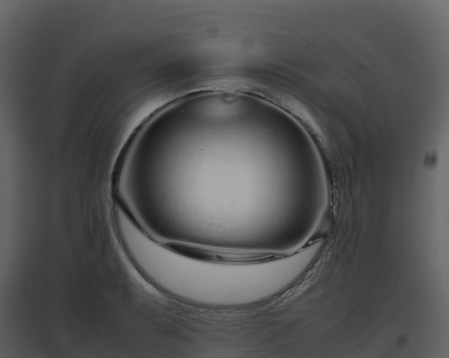 X0000096651087200802121127