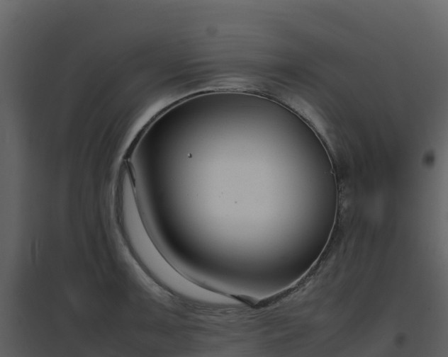 X0000096651091200802121127