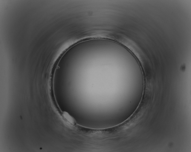 X0000096651093200802121127