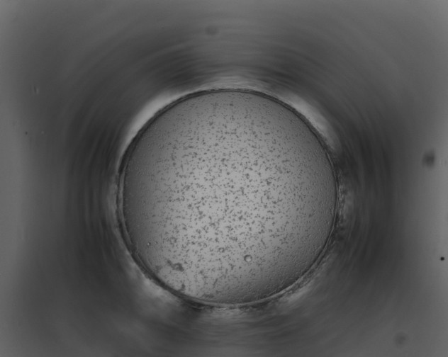 X0000096651094200802121127
