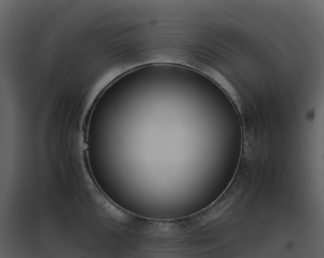 X0000096651096200802121127