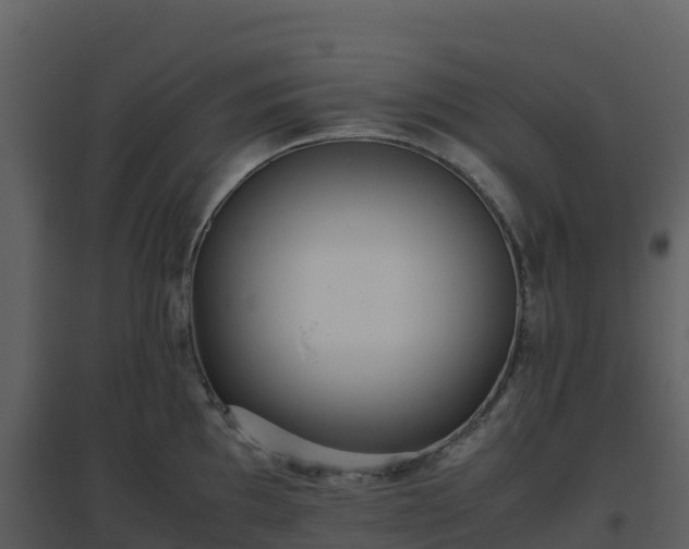 X0000096651097200802121127
