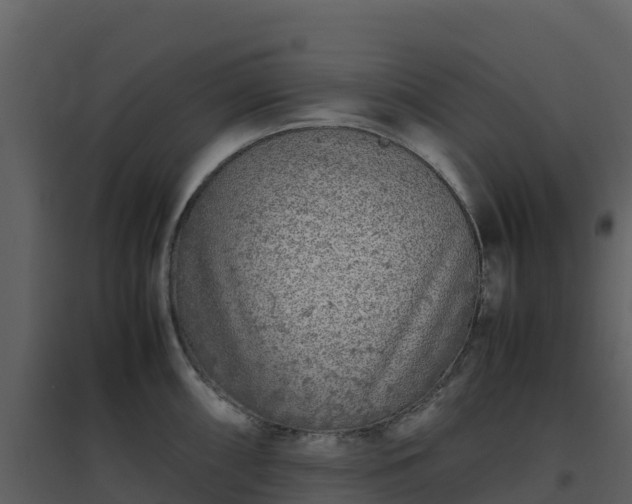 X0000096651098200802121127