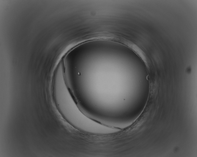 X0000096651099200802121127