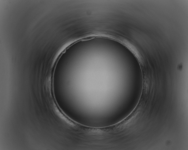 X0000096651100200802121127