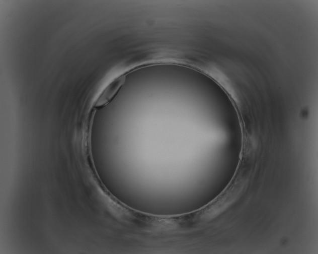 X0000096651101200802121127