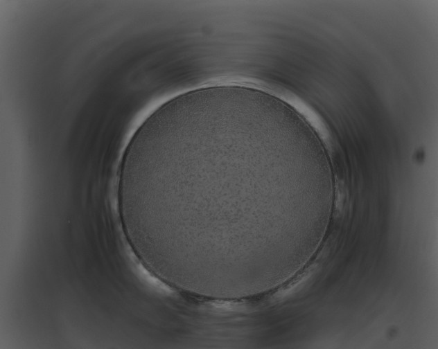 X0000096651102200802121127