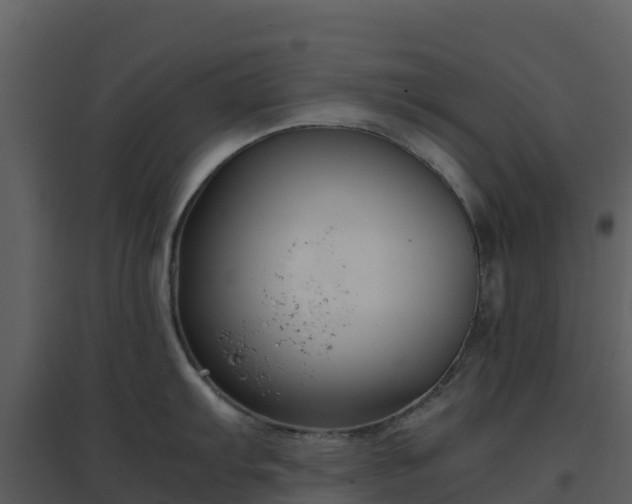 X0000096651103200802121127