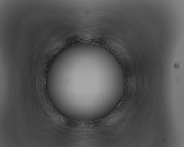 X0000096651105200802121126