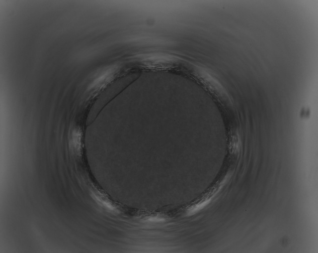 X0000096651108200802121126