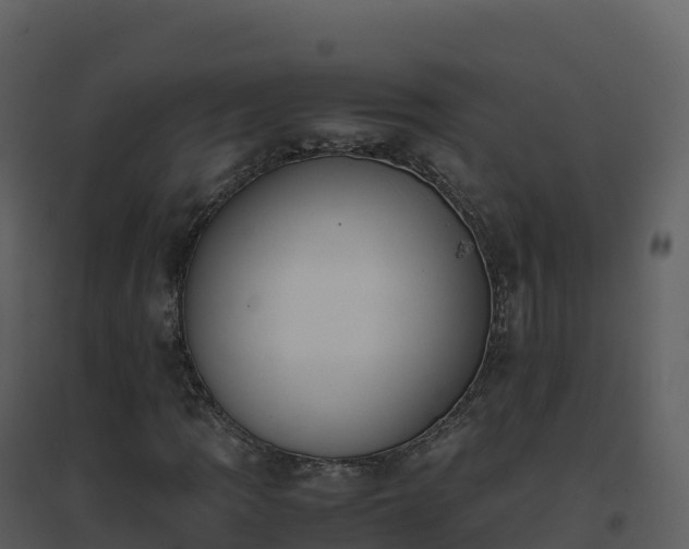 X0000096651109200802121126