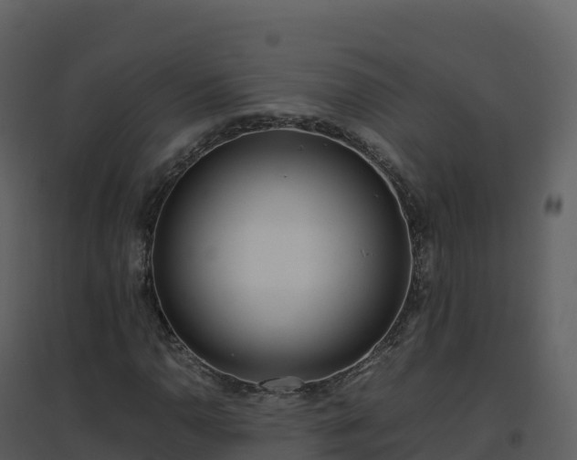 X0000096651110200802121126