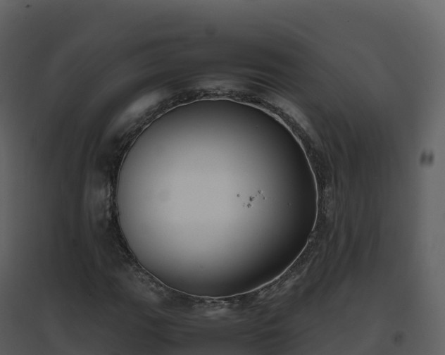 X0000096651111200802121126