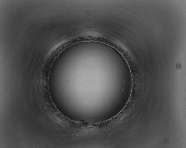 X0000096651112200802121126