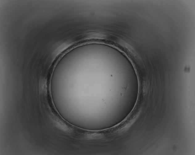 X0000096651113200802121126