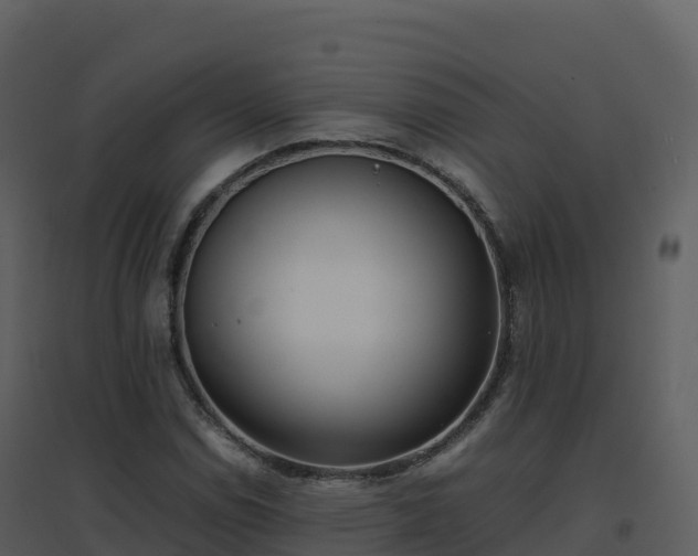 X0000096651114200802121126