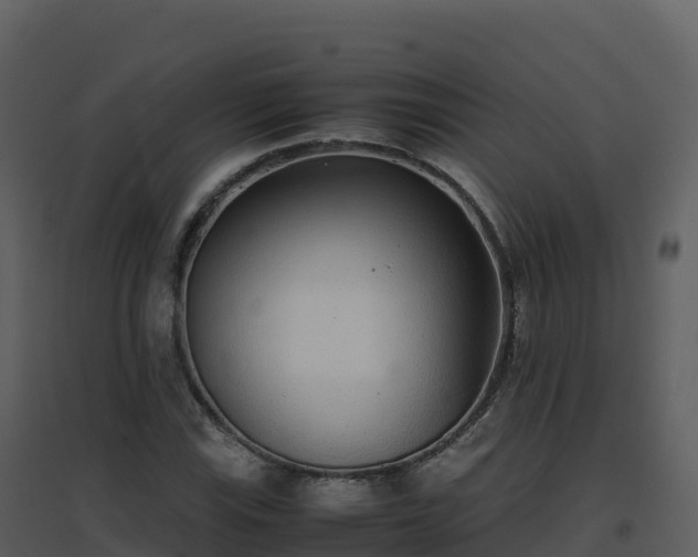 X0000096651115200802121126