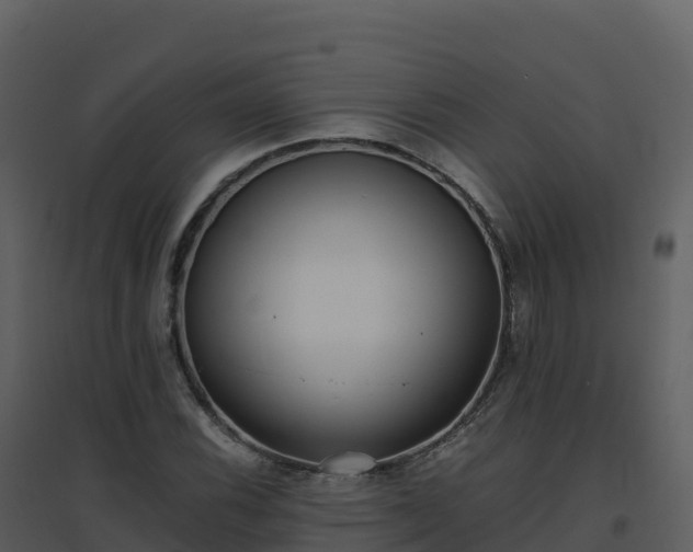 X0000096651116200802121126