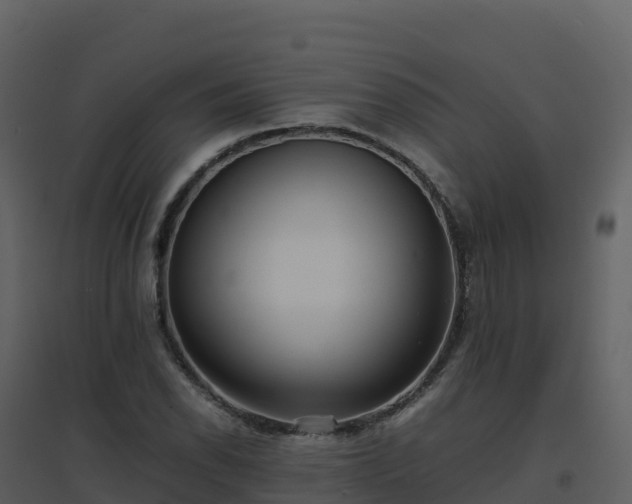 X0000096651118200802121126