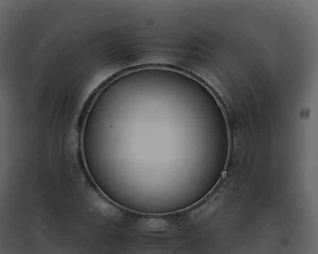X0000096651119200802121126
