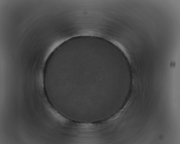 X0000096651120200802121126