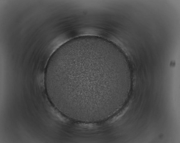 X0000096651121200802121126