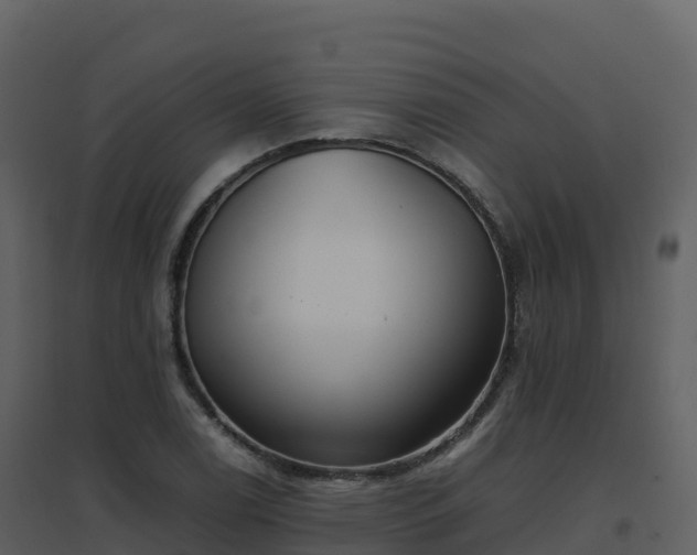X0000096651122200802121126