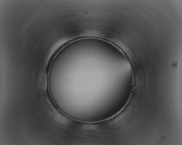 X0000096651123200802121126