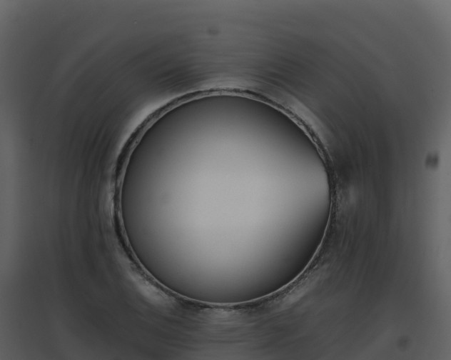 X0000096651124200802121126