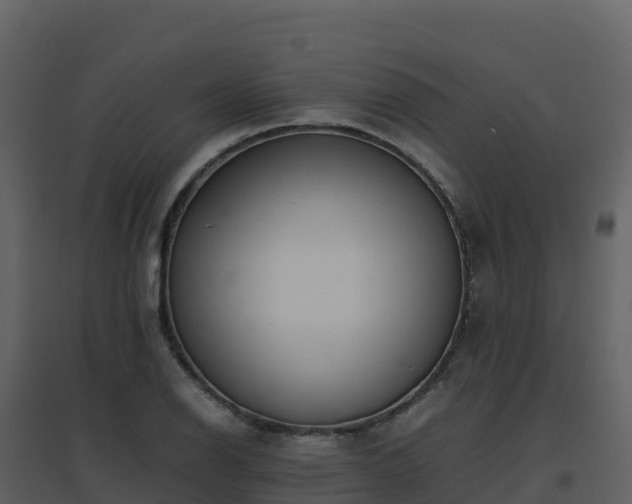 X0000096651126200802121126