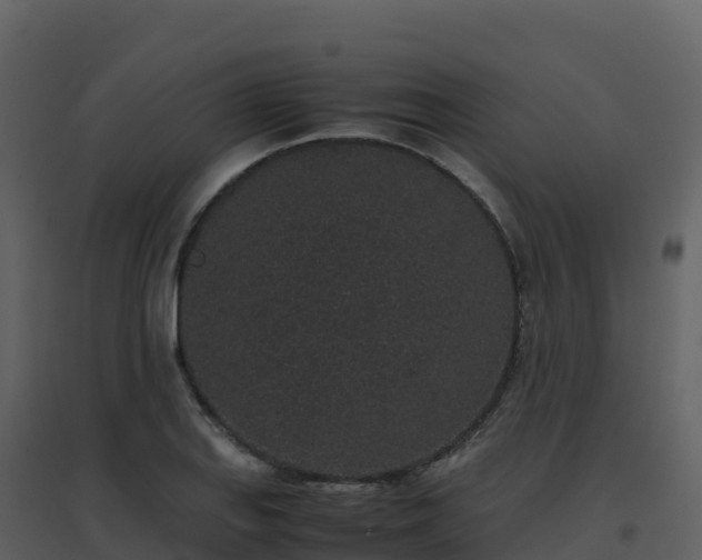 X0000096651127200802121126