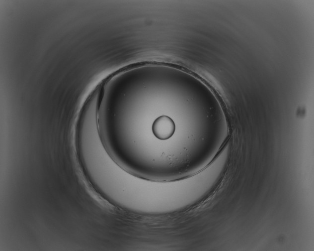 X0000096651128200802121126
