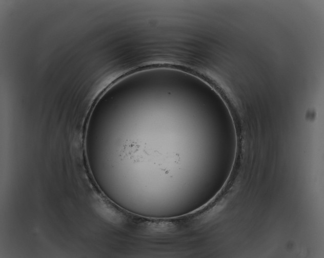X0000096651129200802121126