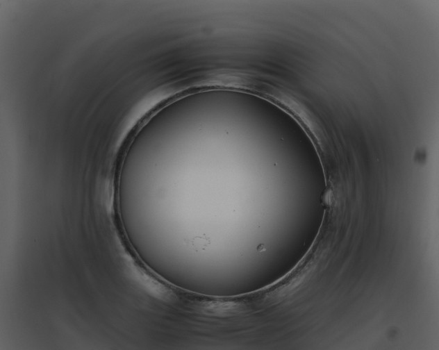 X0000096651131200802121126