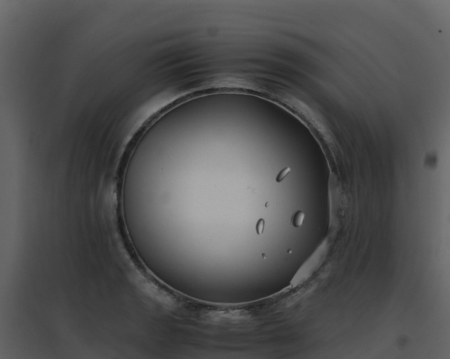 X0000096651133200802121126
