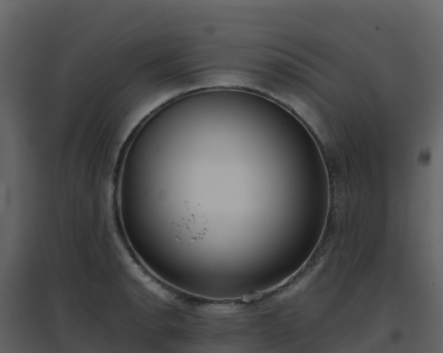 X0000096651134200802121126