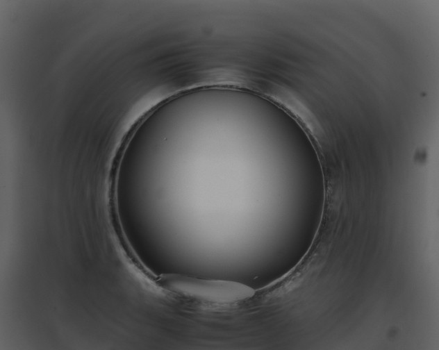 X0000096651135200802121127